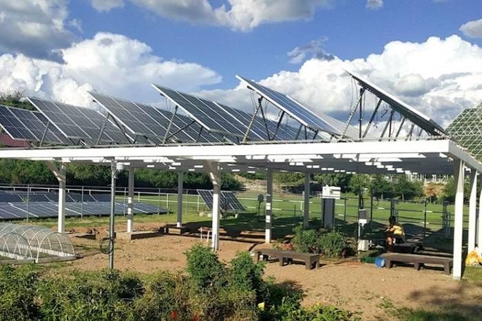 کشاورزی زیر پنل های خورشیدی