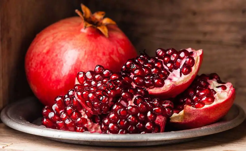 اس ام اس و پیام تبریک